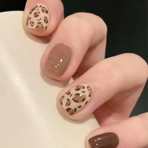 Unghie Finte Maculate Lucide Marrone Caffè Stile Vintage Autunno Inverno Per Donne