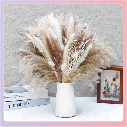 Natural Dried Pampas Grass Bouquet Fluffy Reed Bunny Tail Grass For Home Wedding Party Decor Aesthetic Boho Interior