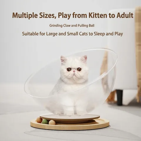 Katzenbett Weltraumkapsel Transparentes Acryl Mit Massivholz Drehteller Interaktive Spielzeugbälle Für Innenkatzen