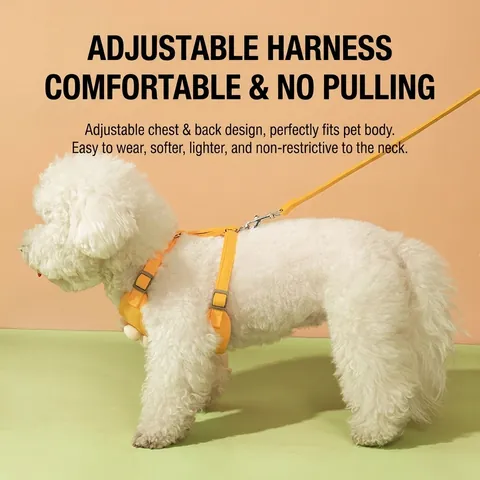 Adjustable Breathable Pet Harness And Leash With 3D Daisy Flower Embroidery Polyester Cotton Corduroy For Small Dogs Cats