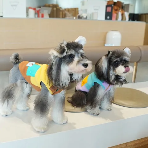 Gilet Caldo Per Cani In Pile Color Block Vestiti Per Animali Domestici Con Anello A D E Tasca Per Cani Piccoli Autunno Inverno