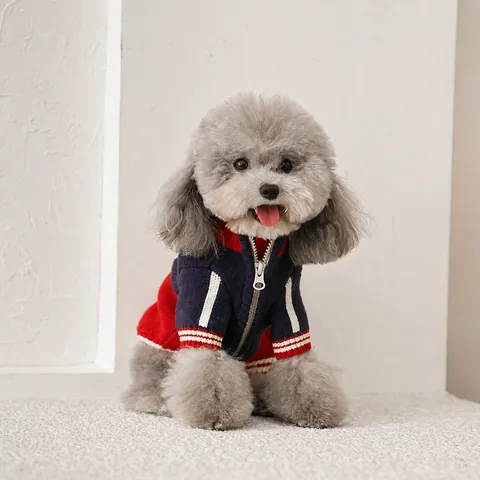 Dog Knit Sweater Warm Winter Pet Clothes Color Block Zipper Cardigan Pullover For Small Medium Dogs Cats