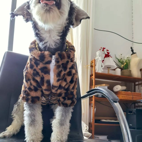 Haustier Hund Katze Kunstpelz Fleece Jacke Winter Warm Leopardenmuster Herz Regenbogen Weste Reißverschluss Kleidung