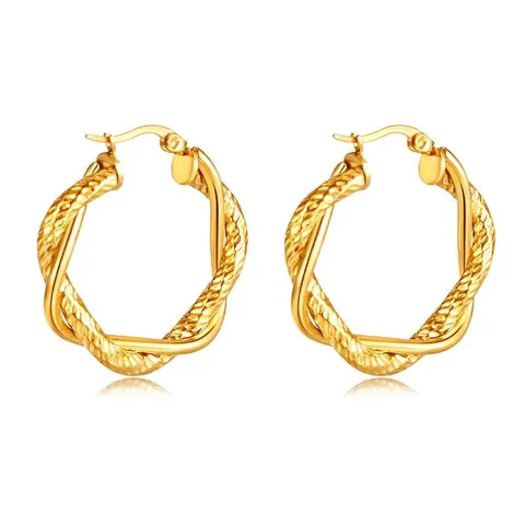 Fashion Stainless Steel Gold Plated Twisted Hoop Earrings For Women Minimalist Cable Design Geometric Round Jewelry Gift