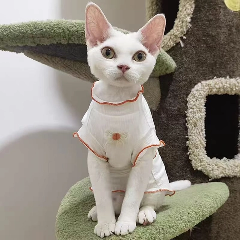 T-shirt Pour Chat Chien Animaux Tricot Côtelé Respirant Nœud Dentelle Bordure Orange Volants Vêtements Été