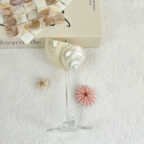 Handgemaakte Natuurlijke Schelp Conch Wijnglas Decoratief Ornament Met Glas Metalen Standaard Voor Bureau Home Decor Cadeau