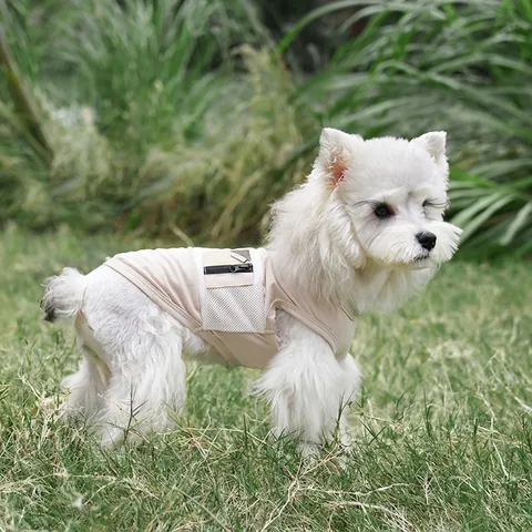 Hond Vest Zomer Koeling Ademend Mesh Zonbescherming Outdoor Sport Puppy Kleding Met Ritszak
