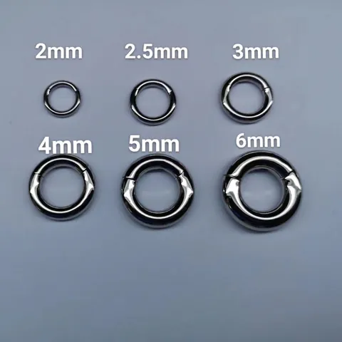 316L Stainless Steel Nose Ring Hinged Clicker Seamless Hoop Body Piercing Jewelry For Men Women Multiple Colors Basic Style