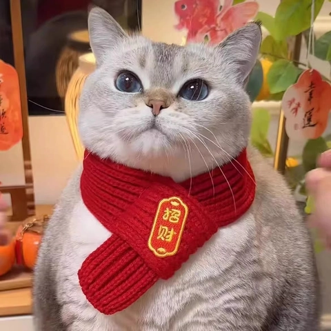 Pet Scarf Knitted Warm Winter Neck Warmer For Cats Small Dogs New Year Festival Red Chinese Style Accessory