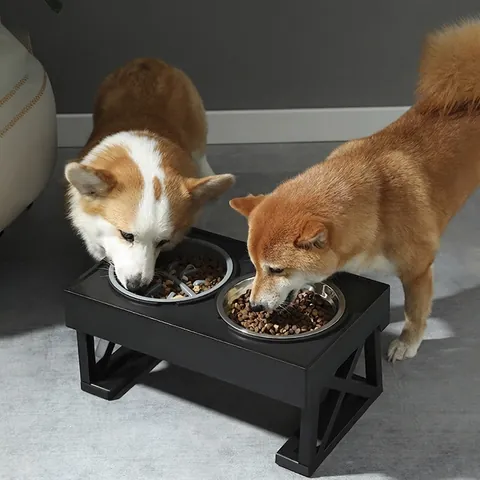 Verhoogde Voerbakken Voor Huisdieren Verstelbare Hoogte Roestvrij Staal Slow Feeder Kantelbaar Hond Kat Water Voer Schalen