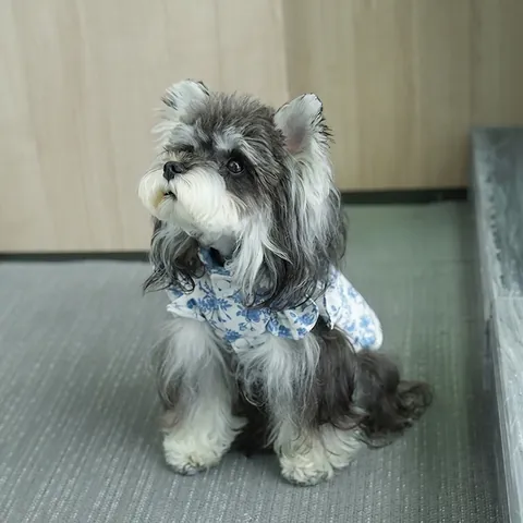 Pet Dog Vest Padded Winter Coat With Leash D-Ring Floral Butterfly Print Ruffle Flying Sleeves Warm Clothes For Small Dogs