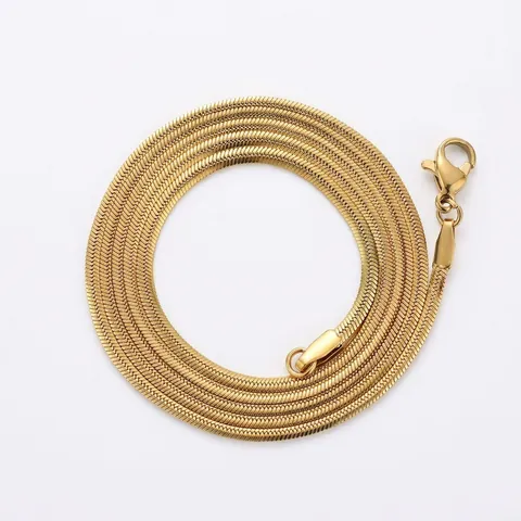 Collier Chaîne En Os De Serpent Plat Acier Inoxydable Style Hip Hop Bijoux Minimalistes Pour Femmes Hommes Métal Durable