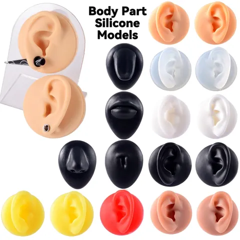 Simulated Silicone Body Part Piercing Practice Training Model With Acrylic Display Stand For Jewelry Show Acupuncture Teaching