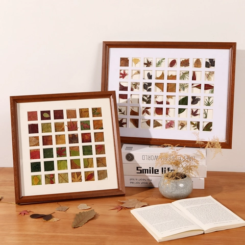 Multi Gitter Proben Bilderrahmen MDF Walnussmaserung Botanische Blatt Sammlung DIY Display Box Für Home Office Wand Dekor