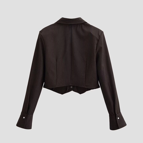 Gestreifte Kurzbluse Polyester V-Ausschnitt Einreihig Langarm Lässig Elegant Retro Socialite Damen Hemd