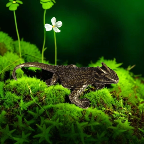 Figura Miniatura De Lagarto Cornudo De Latón Antiguo Aleación Vintage Reptile Mascota De Té Decoración De Escritorio Realista Escultura