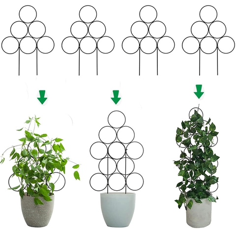 Support De Plante Rond Géométrique Fer Métal Pour Plantes Grimpantes Jardin Modulaire Durable Support De Fleurs