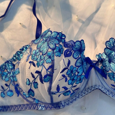 Floral Embroidery Lace Bra And Thong Lingerie French Style Mesh Transparent Sexy Push Up Underwear