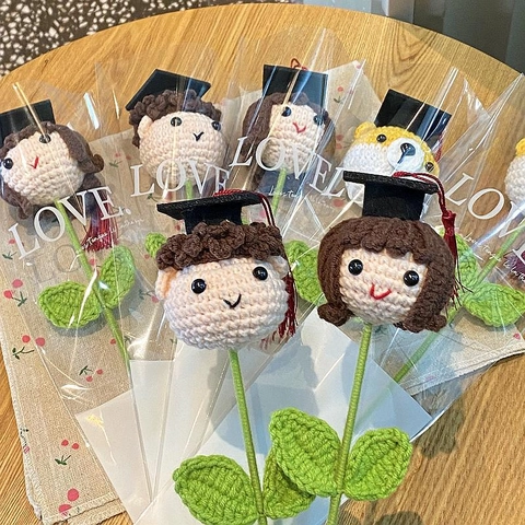 Hand Crocheted Graduation Doll Bouquet Yarn Woolen Doctor Hat Tassels Cute Boy Girl Shiba Inu Design Handmade Gift Decor