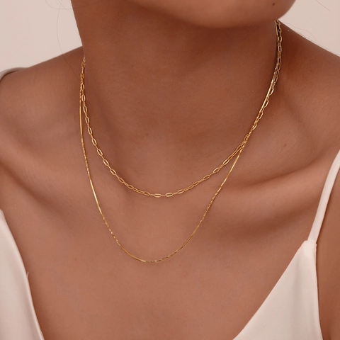 Collana A Doppio Strato In Acciaio Inossidabile Placcato Oro Catena Paperclip E Catena A Serpente Moda Minimalista Per Donna