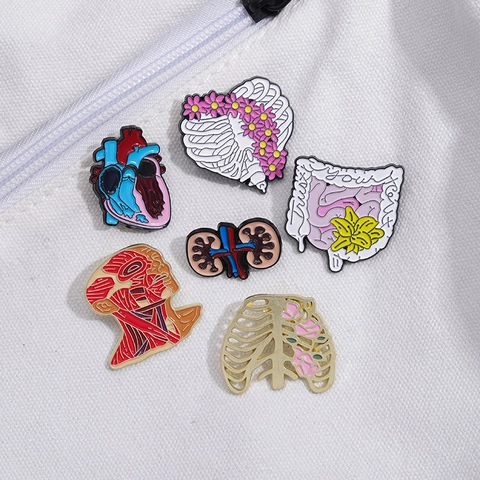Menschliche Organe Emaille Brosche Anatomie Herz Rippen Darm Niere Abzeichen Medizin Student Schmuck Zinklegierung Pin