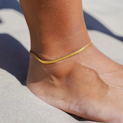 Stainless Steel Snake Bone Anklet Minimalist Herringbone Chain Double Layer Foot Jewelry For Women Summer Beach Elegant