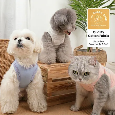 Gilet In Cotone Per Animali Vestiti Estivi Per Cani Maglietta Senza Maniche Traspirante Stampa Rugby Star Per Cani Piccoli Medi Gatti