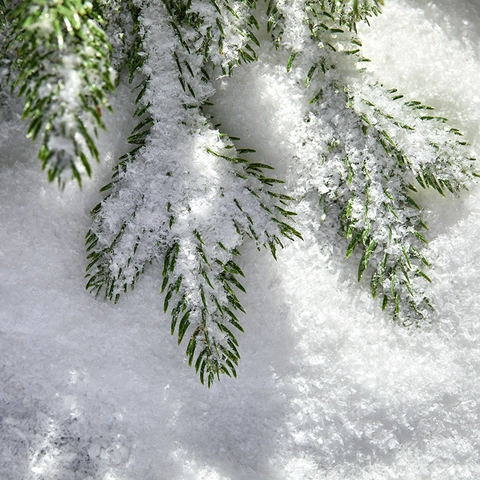 Polvo De Nieve Artificial Seca Nieve Falsa Decoración De Navidad PVC Copos Permanentes Accesorios Fotografía Paisaje