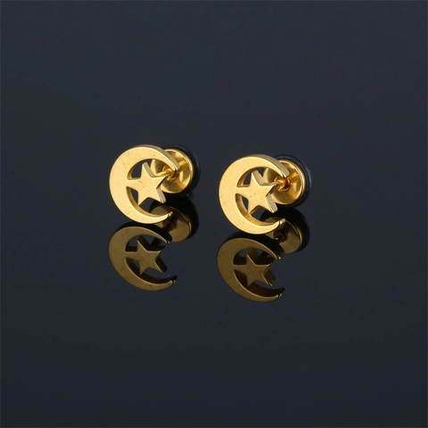 Mond Und Stern Ohrstecker 316 Edelstahl Vakuum Beschichtet Geometrischer Minimalistischer Unisex Schmuck Hip Hop Stil