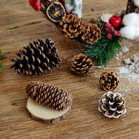 Natuurlijke Dennenappels Houtschijfjes Kaneelstokjes Kerstversiering DIY Knutselen Rustiek Noords Ornament Sneeuwvlok Ster Hart