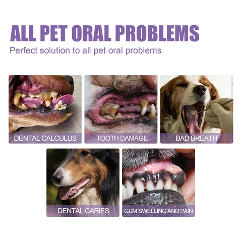 Pet Oral Repair Gel Teeth Cleaning Pen Peppermint Extract Tartar Removal Fresh Breath Gum Care For Dogs And Cats