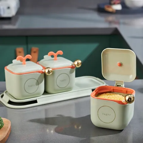 Boîte À Assaisonnement Organisateur De Pots À Épices En Plastique Avec Cuillères Et Plateau De Base Pour Cuisine