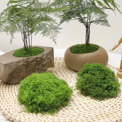 Artificial Moss Faux Greenery Filamentous Realistic Plastic Grass For DIY Micro Landscape Bonsai Terrarium Decoration