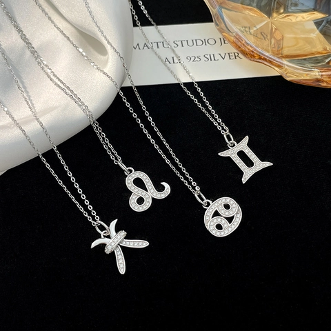 Collier Pendentif Douze Signes du Zodiaque en Argent Sterling 925 pour Femme Élégant Collier de Clavicule en Strass Horoscope