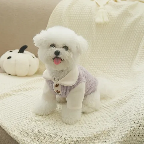Gilet En Polaire Pour Chien Pull Chaud Pour Animaux Broderie Ours Col À Boutons Vêtements D'Hiver Chat Chiot