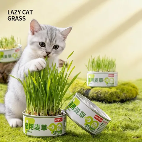 Canned Cat Grass Growing Kit Organic Wheat Seeds Soilless Vermiculite Planting For Hairball Relief Digestive Support