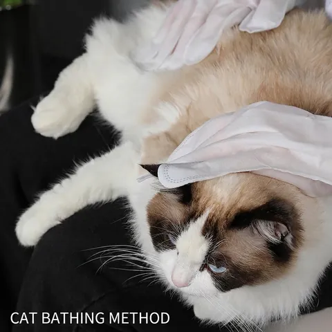 Pet Waterless Cleaning Gloves Disposable Grooming Wipes For Dogs Cats Deodorizing Gentle SPA Non-Woven Fabric