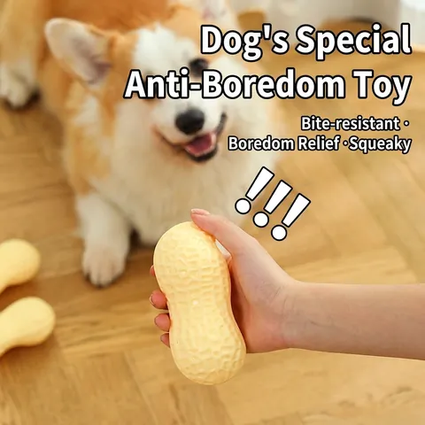 Hundespielzeug Quietschen Erdnussform TPR Gummi Langlebig Kaubeständig Zahnreinigung Interaktives Spiel Für Kleine Hunde