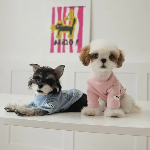 Pet Dog T-Shirt Soft Polyester Base Layer Letter Print Two Legged Casual Puppy Cat Apparel For Autumn Winter
