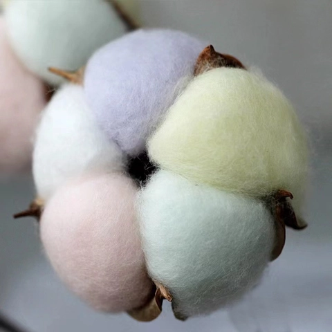 Natural Dried Preserved Cotton Flower Head With Iron Wire For Floral Arrangement Home Decor Photography Props DIY Crafts