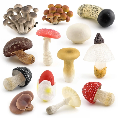 Realistische Simulation Pilz Modelle Solider ABS Kunststoff Pädagogisches Wissenschaft Spielzeug Miniatur Deko Foto Requisiten