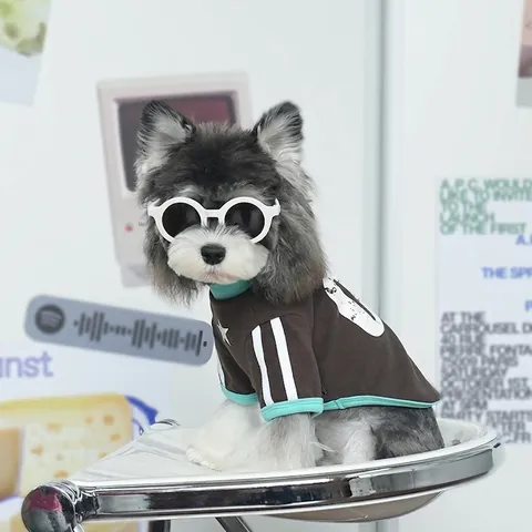 Pet Dog Shirt Soft Polyester American Retro Sporty Style Star Number Print Color Block Clothes For Small Medium Dogs