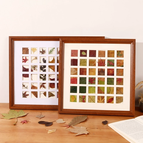 Multi Gitter Proben Bilderrahmen MDF Walnussmaserung Botanische Blatt Sammlung DIY Display Box Für Home Office Wand Dekor
