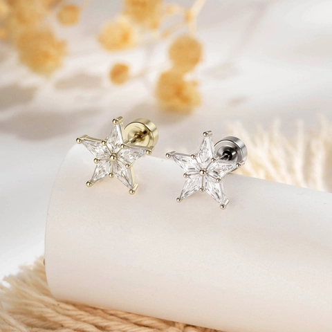 Boucle D'oreille Stud De Cartilage Étoile En Zircon Acier Titane Fermoir À Vis Bijoux De Piercing Pour Femme
