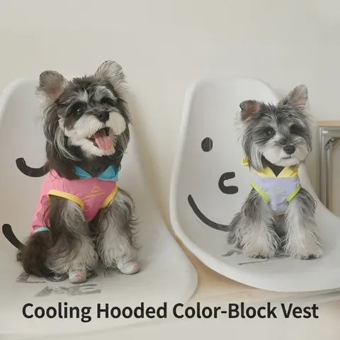 Pet Cooling Hooded Vest Breathable Mesh Polyester Contrast Color Summer Dog Clothes For Small Medium Dogs Cats