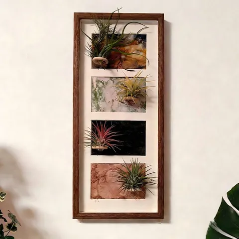 Wooden Air Plant Display Frame Magnetic Wall Hanging Desktop Photo Holder Nordic Style Minimalist Home Decor