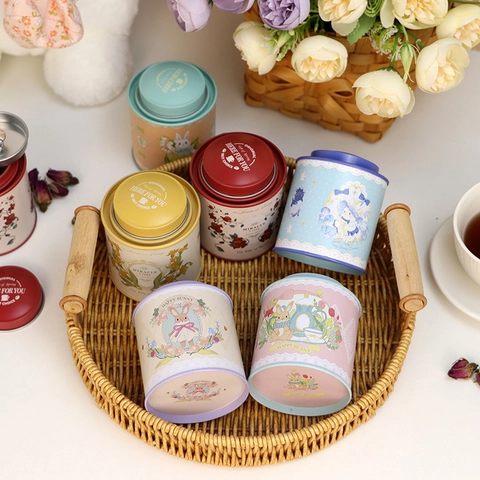 Round Tinplate Tea Tin Metal Storage Jar Dual Lid Cartoon Bunny Floral Panda Patterns Alice Theme Portable Candy Case