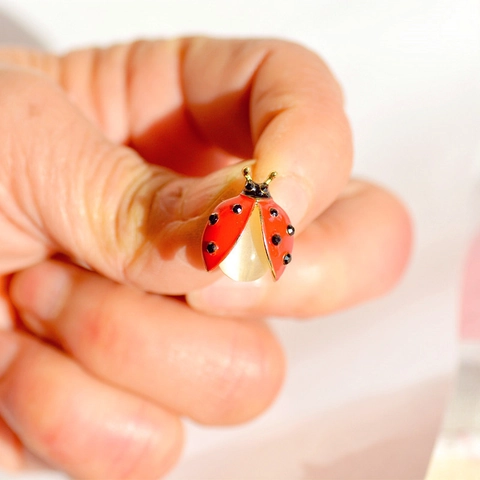 Spilla Coccinella Lega Smalto Strass Pietra Occhio Di Gatto Mini Insetto Spilla Stile Coreano Decorativo Accessorio