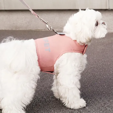 Dog Harness And Leash Reflective Breathable Mesh Vest Adjustable Soft For Small Dogs Puppies Walking Outdoor Safety