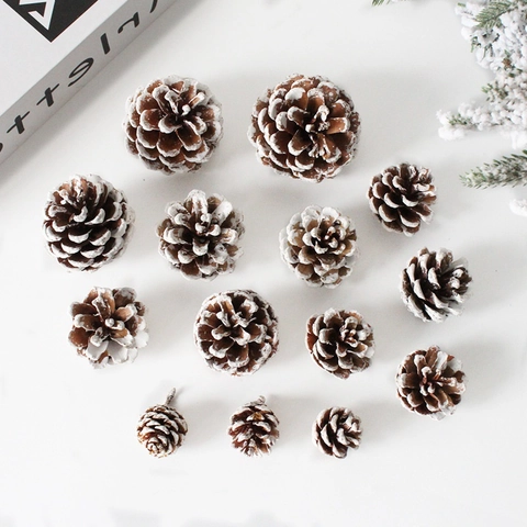 Natural Pine Cones Christmas Tree Decorations Snowy White Wood Cones Winter DIY Crafts Holiday Ornaments Photography Props